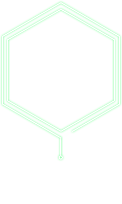 VISION